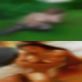 Elderly women bed masturbating