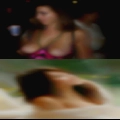 Tampa adult swingers clubs