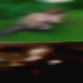 Tavares, swingers clubs