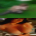 Horny sluts Corona