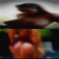 Real housewives Atlanta booty