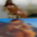 Michigan adult ads