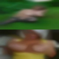 Were fuck Revloc